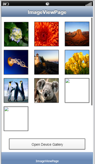 mobilous_appexe_npe_myproject_Actions_mediacontrol_opendevicegallery_multipleSelection_preview2