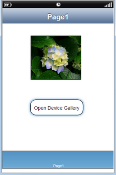 mobilous_appexe_npe_myproject_Actions_mediacontrol_opendevicegallery_preview3