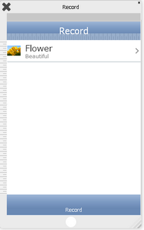 mobilous_appexe_npe_myproject_fixeddatasetrecordview_cellstyle_subtitle_pageeditor