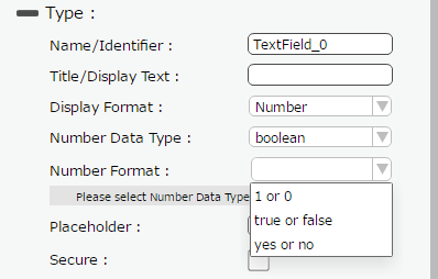 numberformat_number_boolean